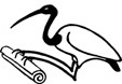 Ibis